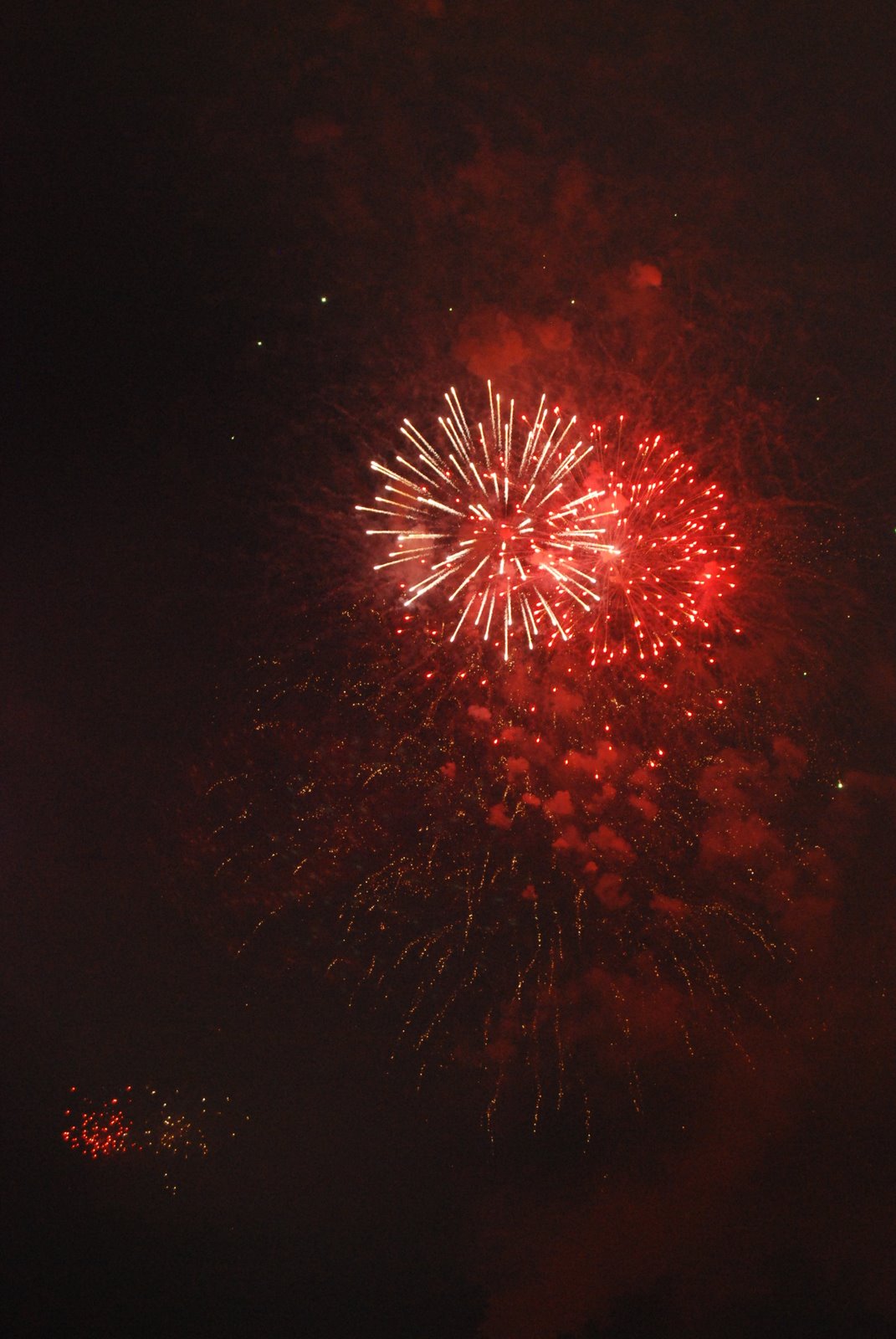 [DSC_0077.JPG]