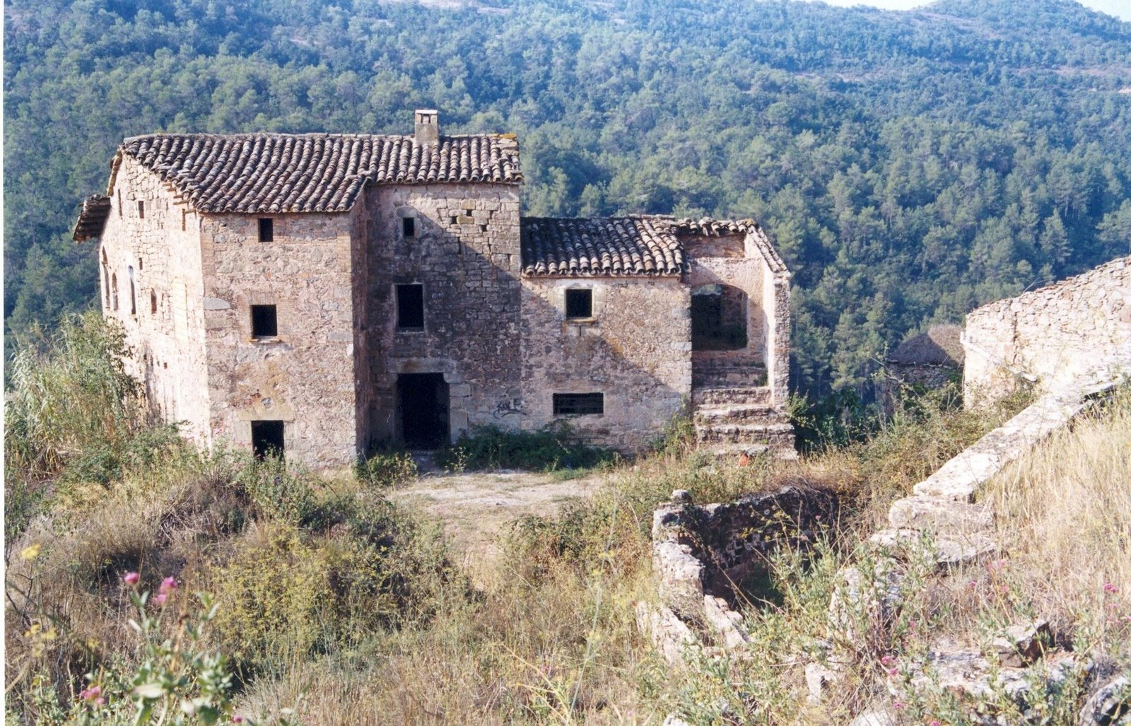 FINCA ABANDO finca abando: