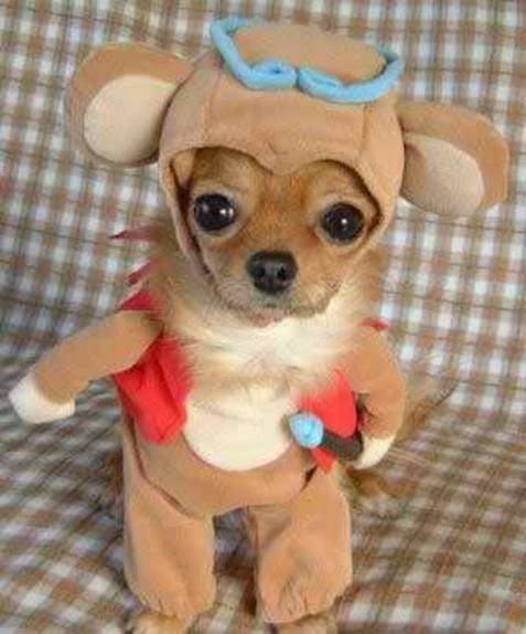 [mychild.jpg]