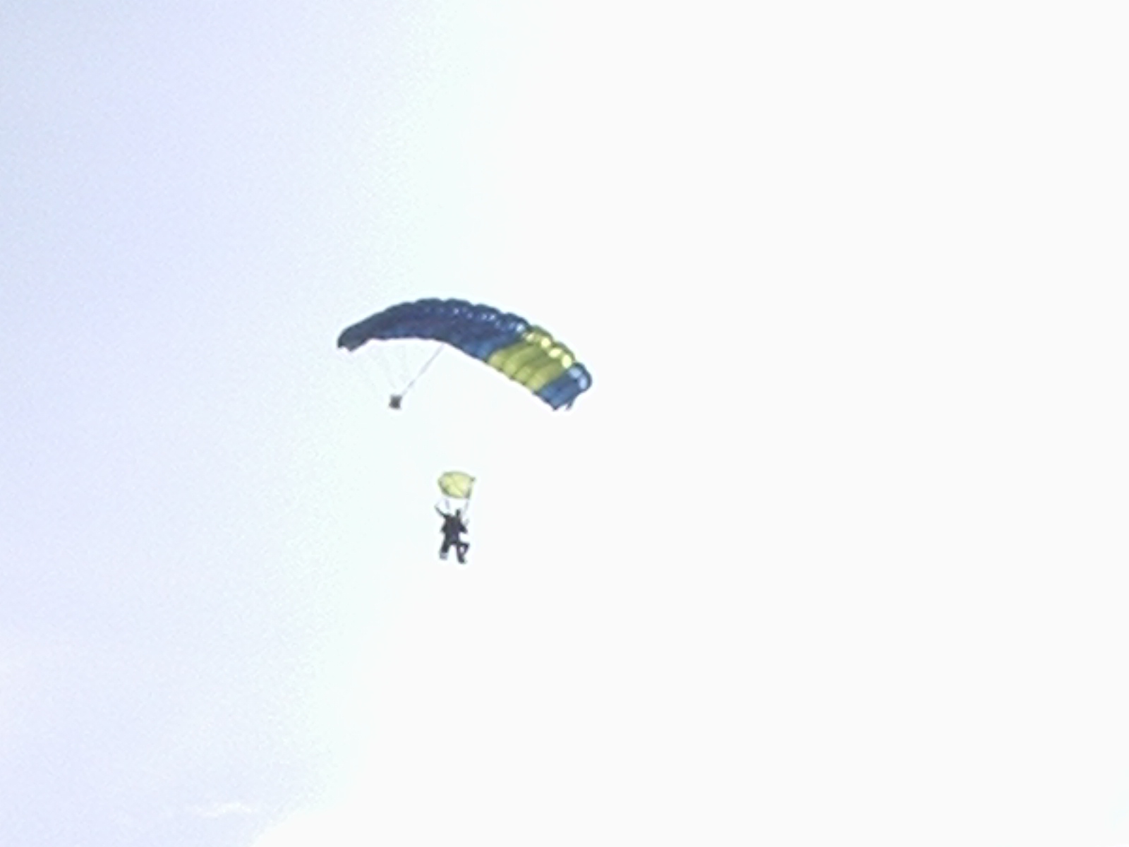 [P3160247.JPG]