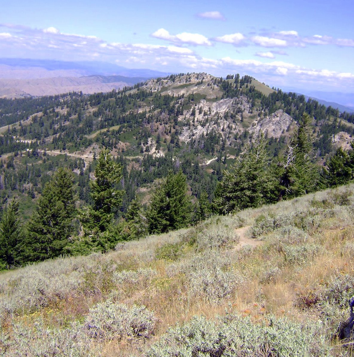 [DSC01733.JPG]