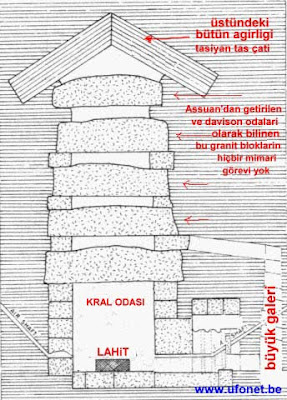 Katil böcek türleri Katil böcek türleri