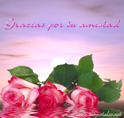 [gracias+por+amistad.jpg]