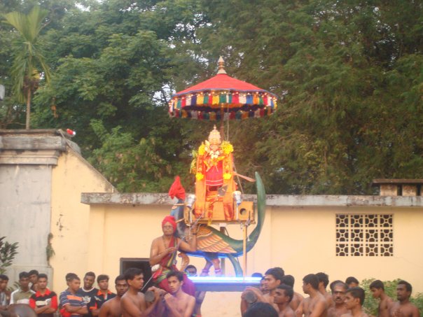 [n824292849_917251_3879.jpg]