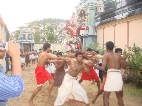 [n824292849_917255_7733.jpg]