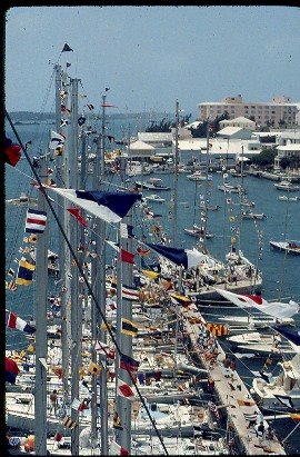 [carina+masthead:bermuda.jpg]