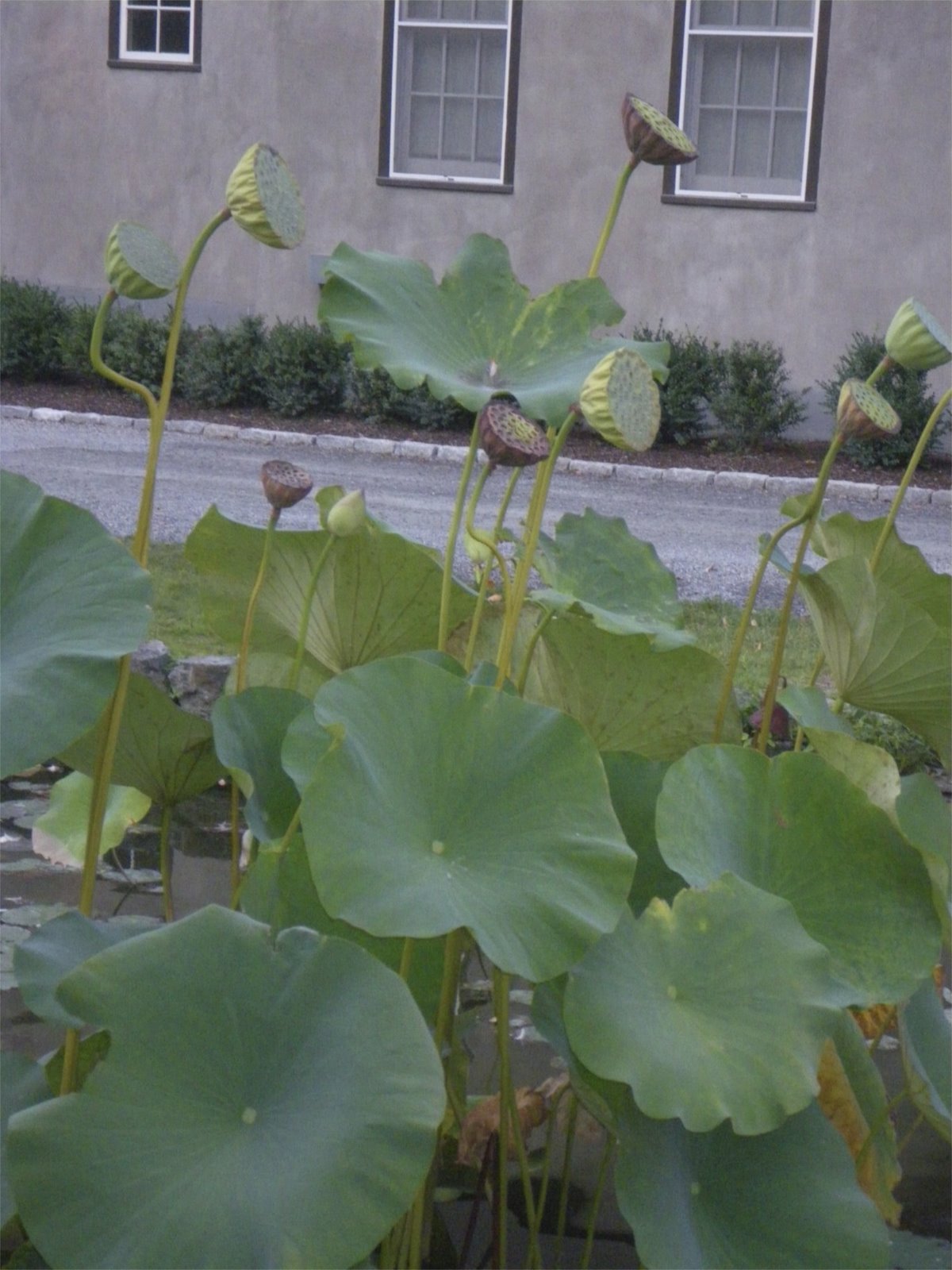 [IMGP0473.jpg]