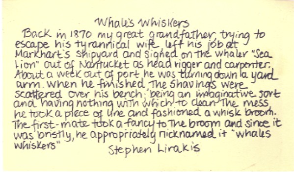 [whale's+whiskers.jpg]