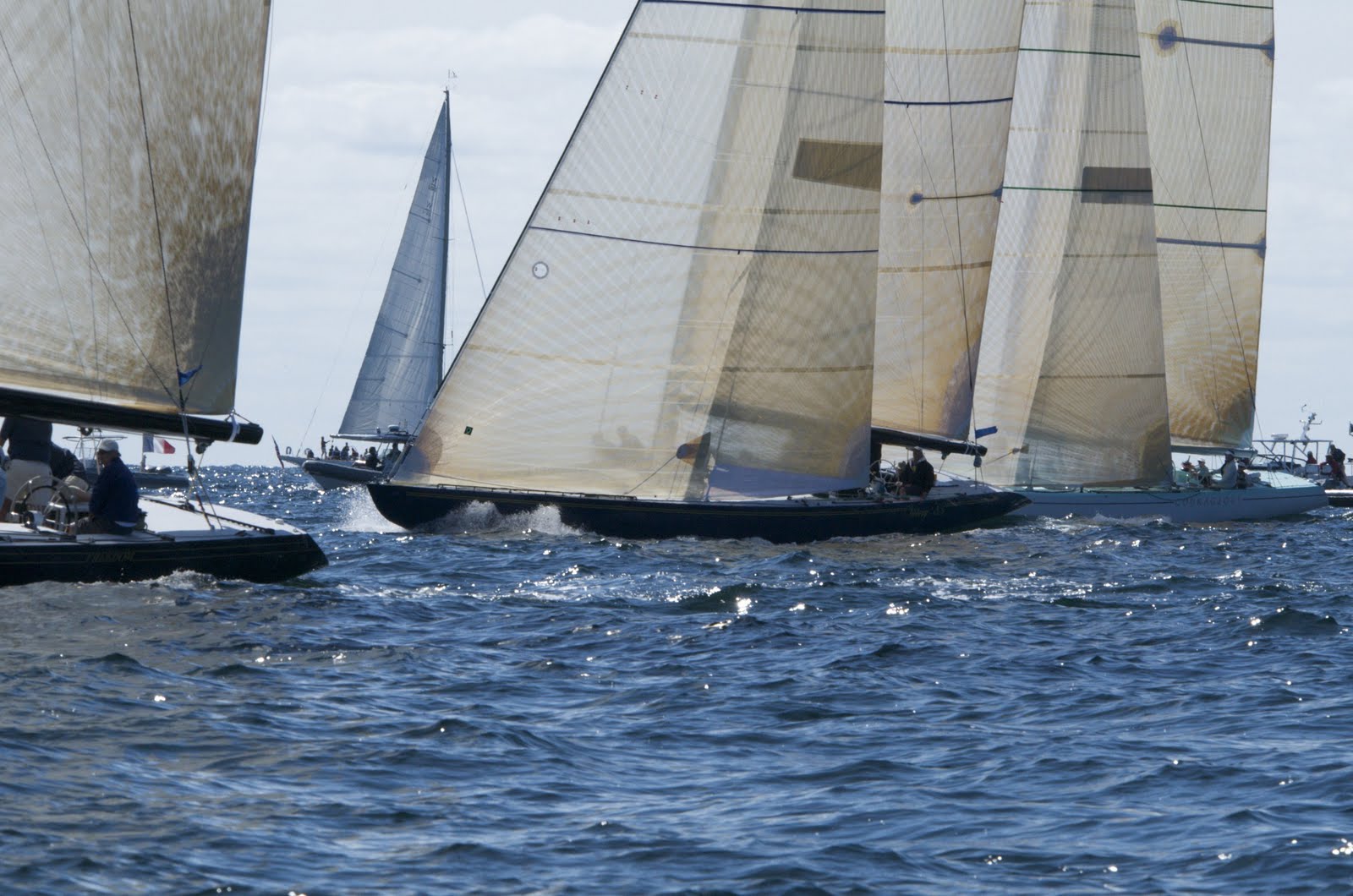 [DSC_3900.jpg]