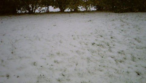 [DSC00035.JPG]