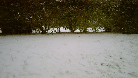 [DSC00043.JPG]