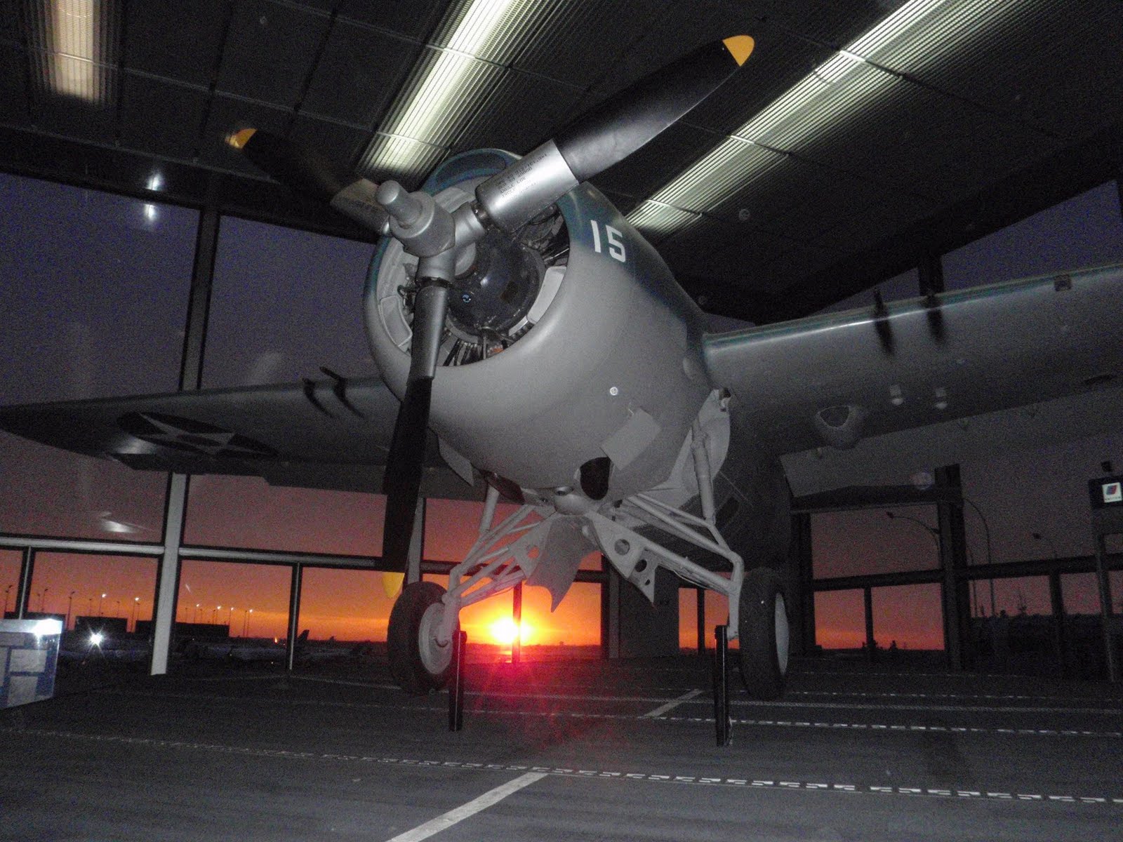 [flight+1.jpg]