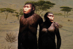 Lucy The Neanderthal