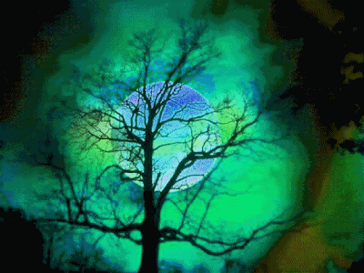 023.gif