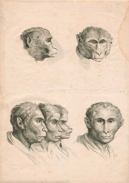 [Pepole_Animals_20.jpg]