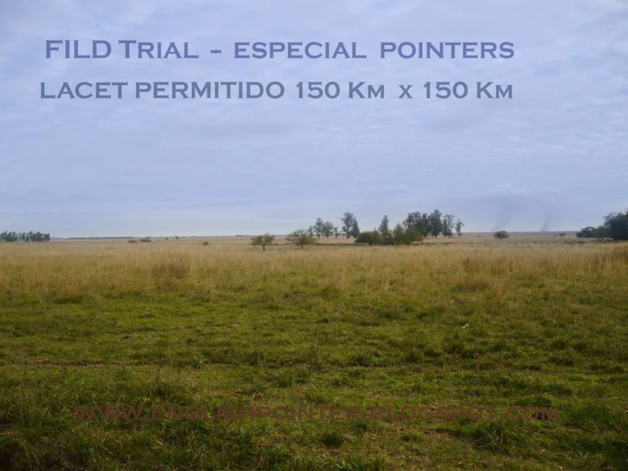 SOUTH AMERICA -  LACET  POINTERS  150 Km  x  150 km