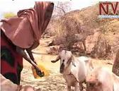 FAMINE IN NEP