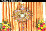 Adoration Online