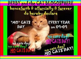 MO Cats Day