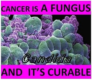 http://4.bp.blogspot.com/_jXK087ZJfNY/S8uA5LFuSFI/AAAAAAAAFn8/lYCkl_MzET0/s1600/CancerFungusCandidaMed.jpg