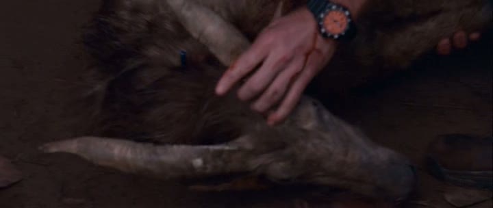 [vlcsnap-1862802.jpg]