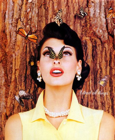 [2742527413_50660dc671_o.jpg]