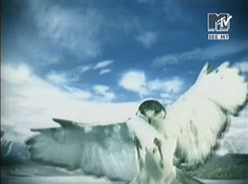 [vlcsnap-1387941.jpg]