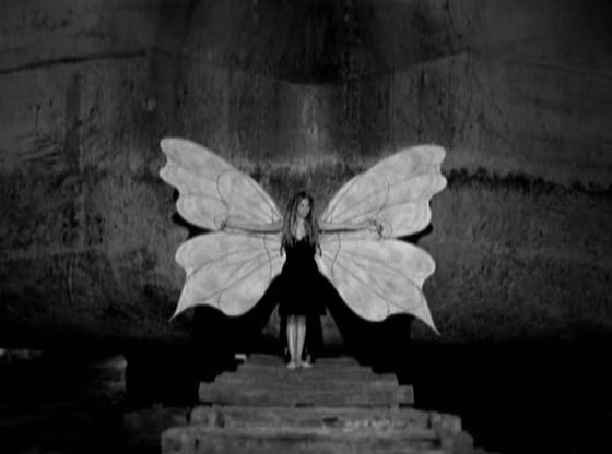 [vlcsnap-843937.jpg]