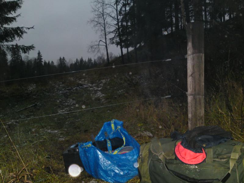 [image-upload-51-754279.jpg]