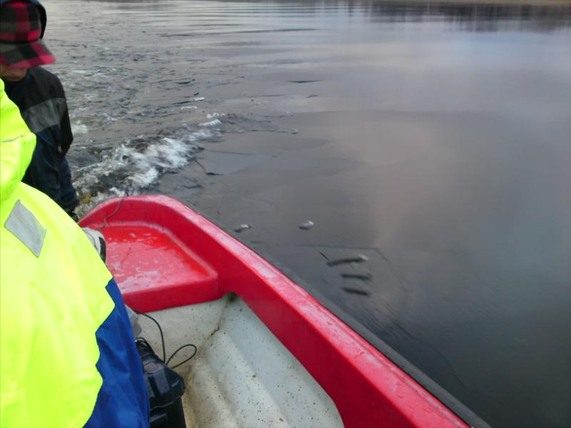 [image-upload-95-724765.jpg]