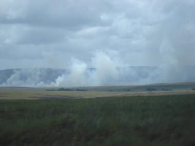 GRAN SABANA