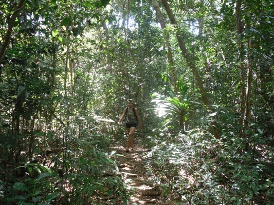 Chemin boisé pour aller à la piscine naturelle d'Oro