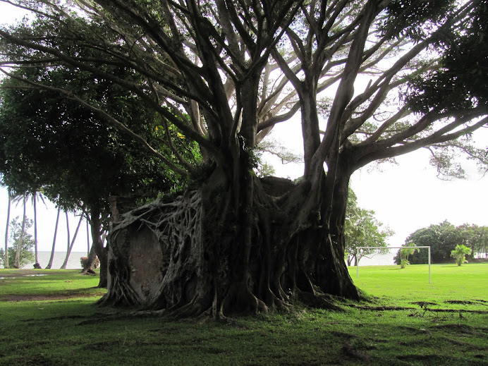 Photo prise à Plum, à 1h de Nouméa, sud est.