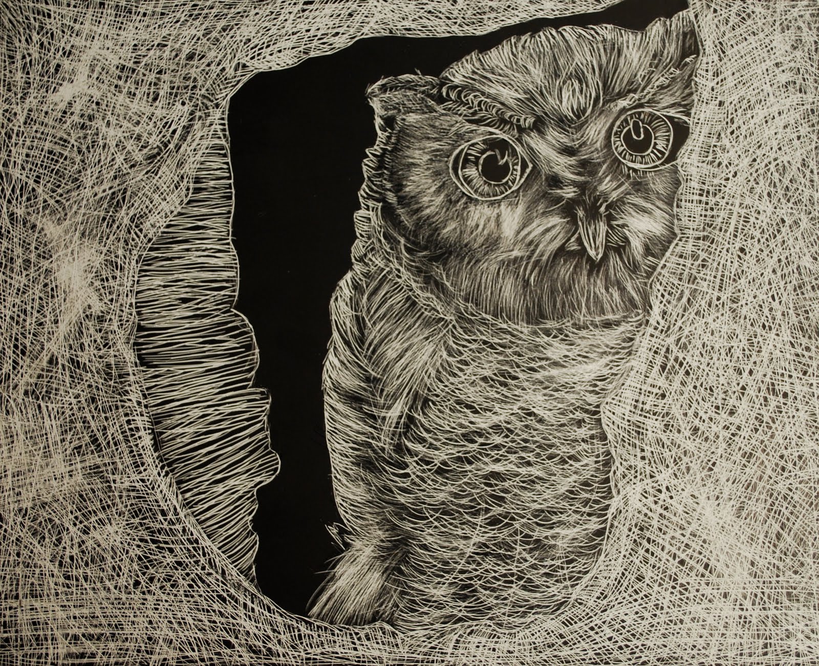 Project ARTADAY Lesson 3 Scratchboard