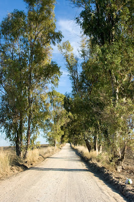 Carril de acceso al Cortijo de Ducha