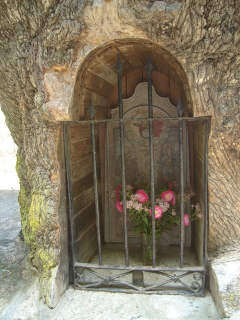 [DSC02121.JPG]