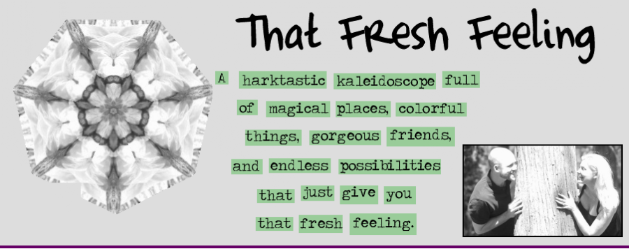 That Fresh Feeling