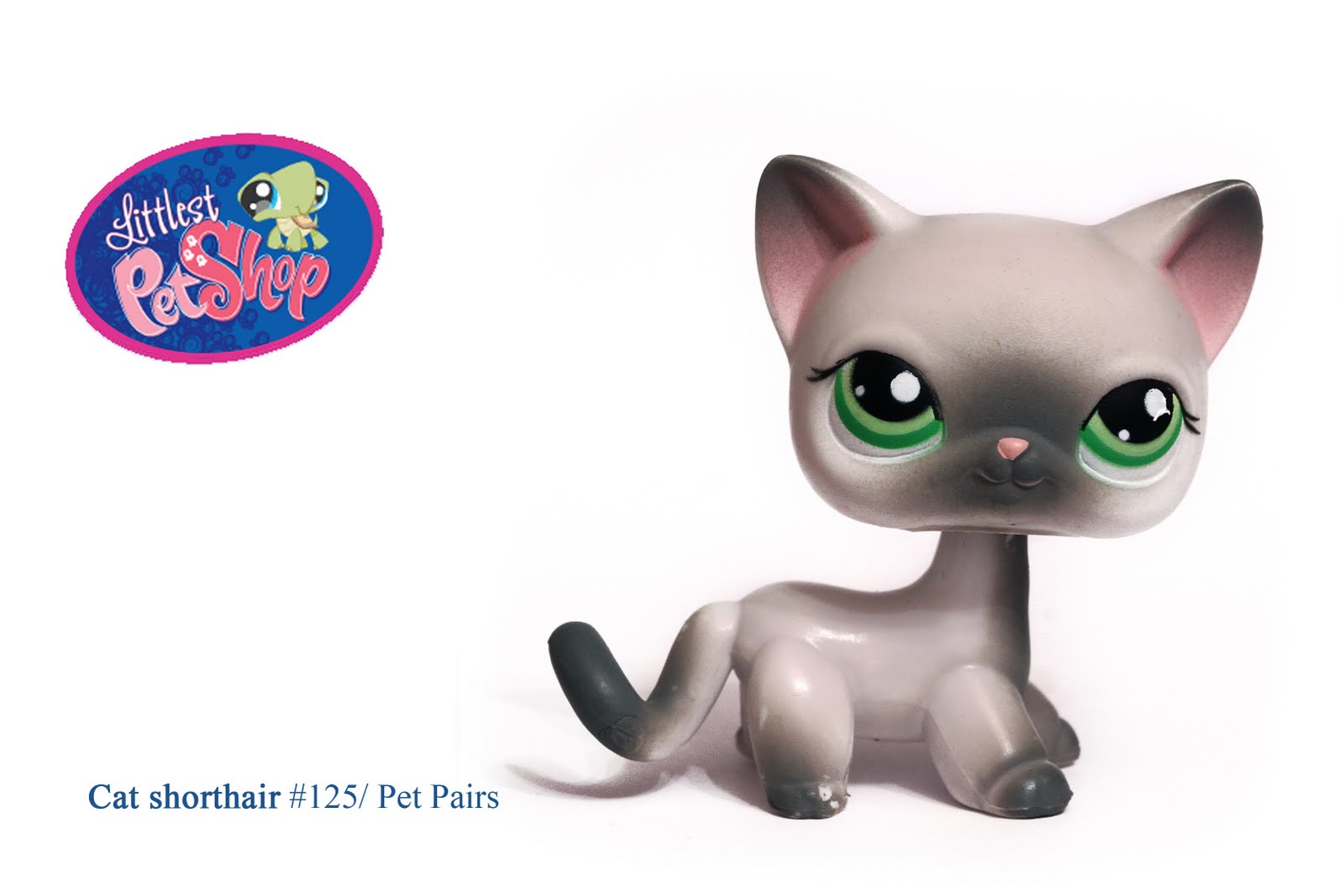 Lps Cat Site Ebay Com Lps Cat Site Ebay Com
