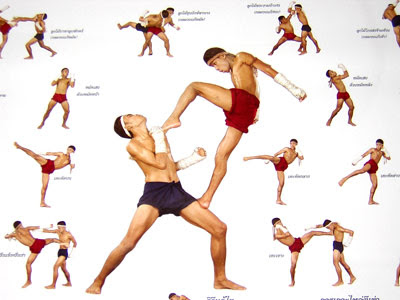 Muay Thai Training