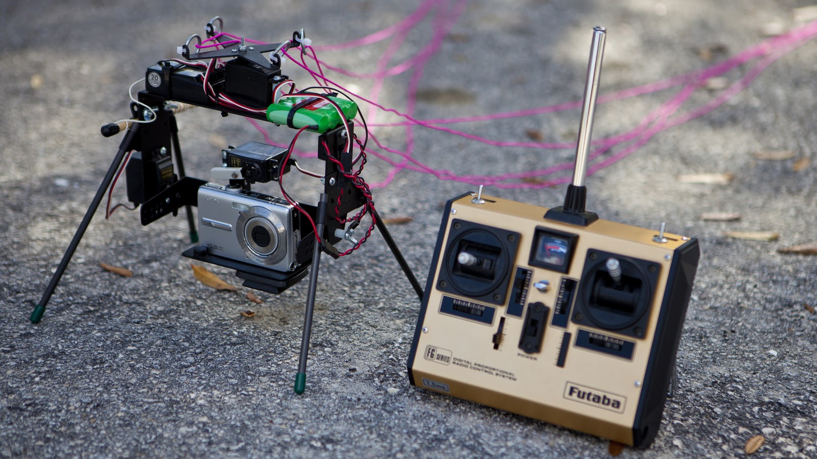 CCM Photography Go fly a kite!