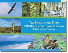 The State of the Birds - 2010 Report