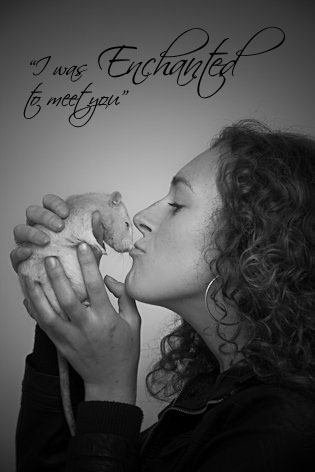when we#39;re feeling down, quotes for when you are feeling down. when we#39;re feeling down,