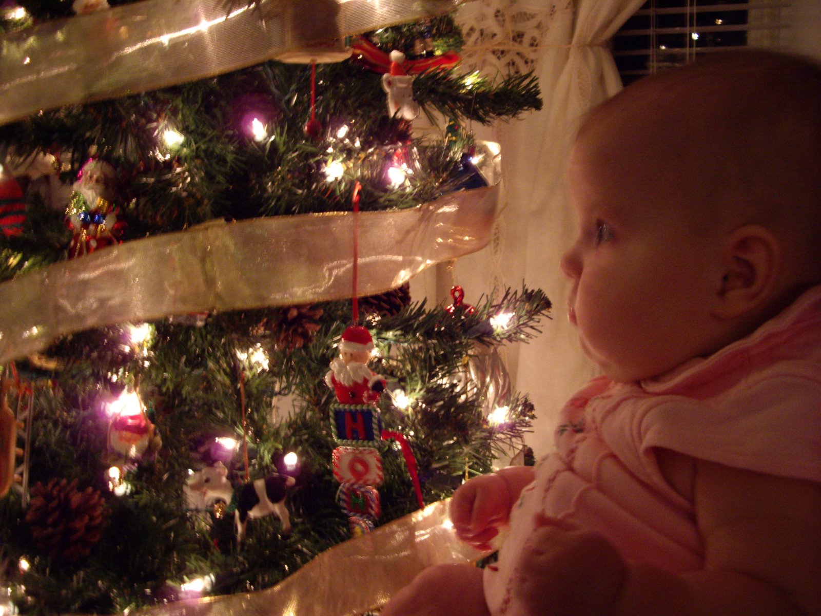[Christmas+Lights+(1).JPG]