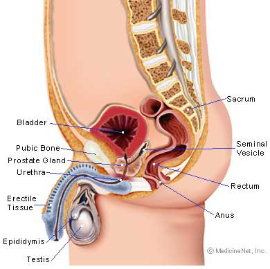 What is prostatitis?