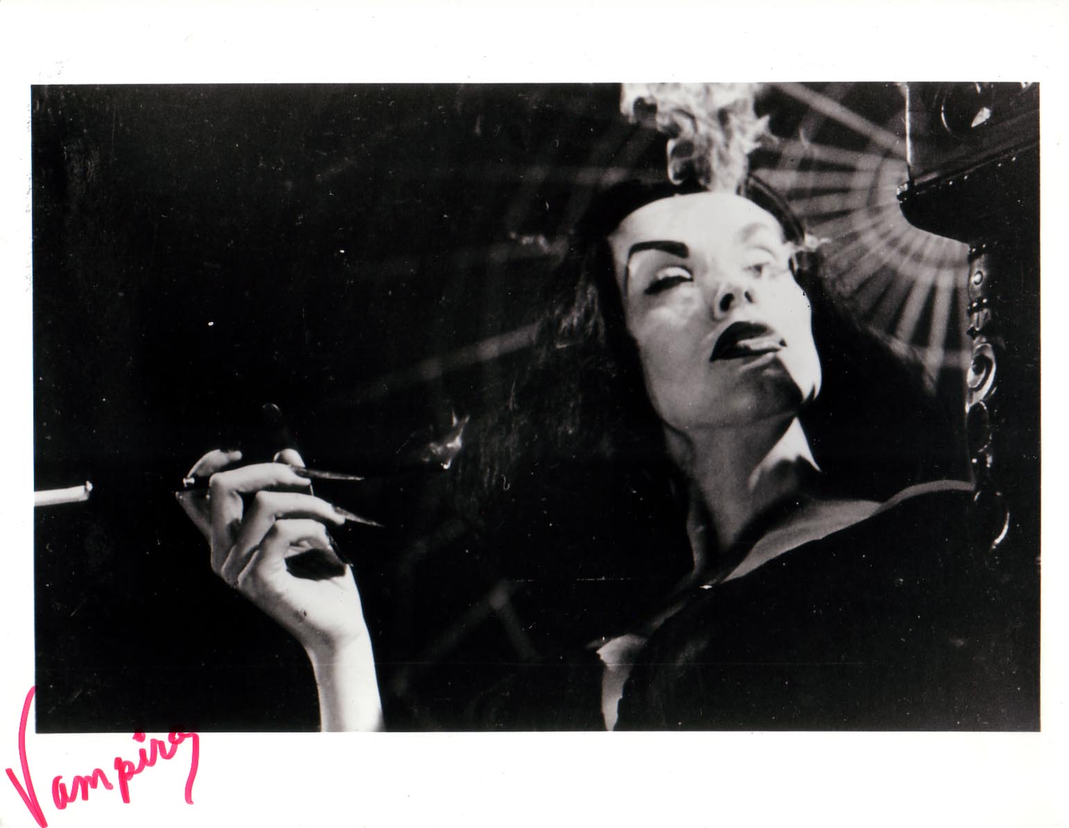 and everything else too Signed, Vampira