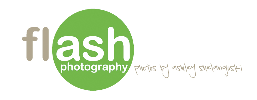 flASH Photography; Asheville, NC  Photographer