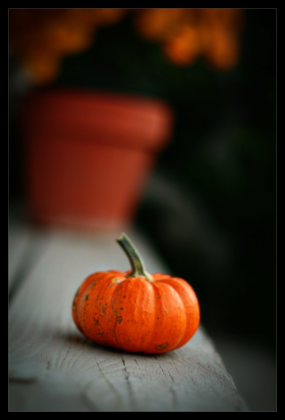 [IMG_0618copy.jpg]
