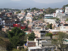 The Side of a Hill in Mexico