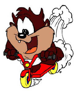 tazmania tazmania