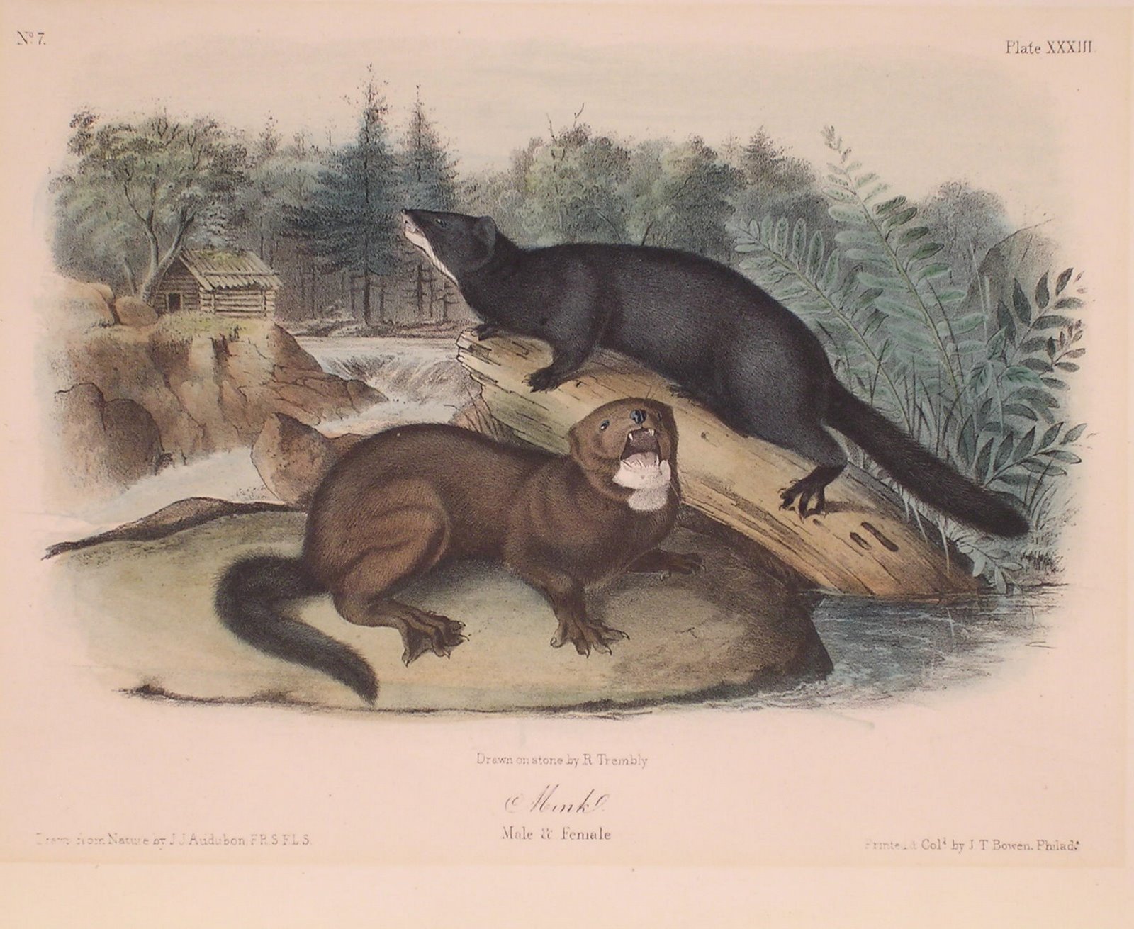 [=?utf-8?B?TWluay5qcGc=?=-708358]